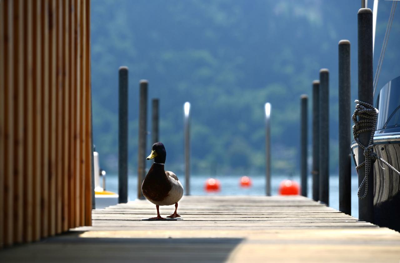 Die Wunder S Ferienpension Pörtschach am Wörthersee Екстериор снимка